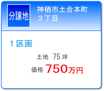 �_���s�y��