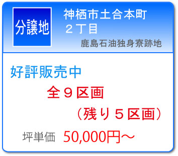 �����Ζ��Б�Ւn